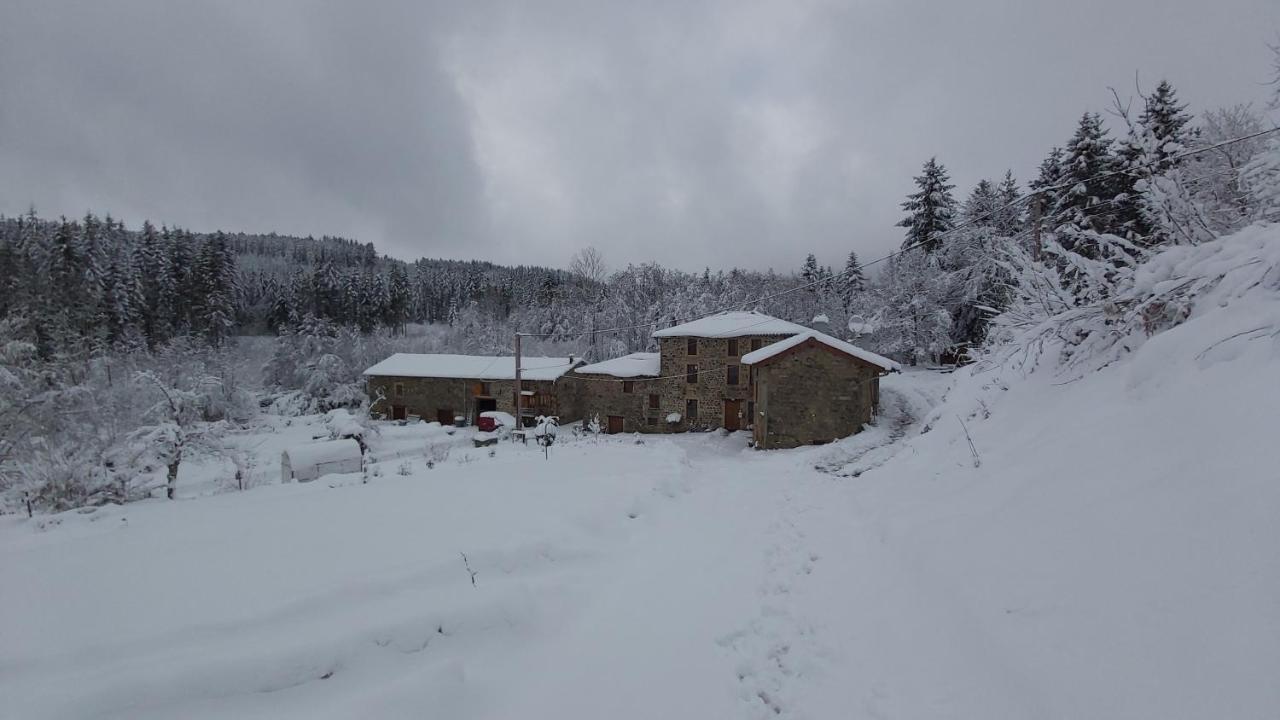 Gite Du Moulin Chenelette Exterior foto